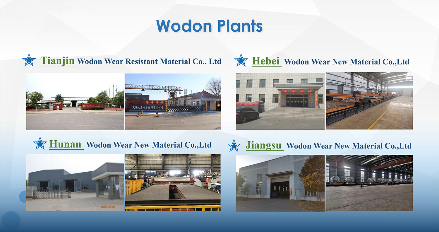 0 Wodon Introduction 2022-5